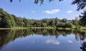 Tour Zu Fuß Tröstau - Wanderweg 10 Tröstau - Photo 3