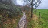 Tour Wandern Jemeppe-sur-Sambre - Spy 191224 - Photo 1