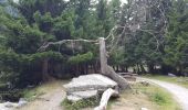 Excursión Senderismo Pralognan-la-Vanoise - Pralognan - Les Prioux - Photo 4