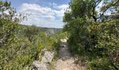 Tocht Stappen Quinson - Quinson Verdon 13 km - Photo 7