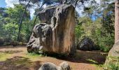 Tocht Stappen Fontainebleau - Fontainebleau Circuit PR Sentier Denecourt 5 - Photo 20