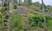 Trail Walking Condé-sur-l'Escaut - Boucle par la Grande Redoute - Photo 2