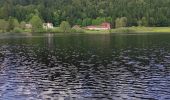 Tour Wandern Xonrupt-Longemer - retournemer hohnech schiesrothried blanchemer et lande  - Photo 2