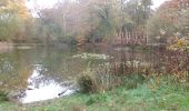 Trail Walking Martot - 20241012-la mare asse - Photo 1