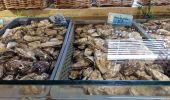 Percorso Marcia Le Vivier-sur-Mer - RA 2023 Cancale - Photo 5