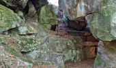 Randonnée Marche Fontainebleau - Sentier Denecourt 1 - Photo 8