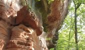 Excursión Senderismo Roppeviller - Roppewiler Rochers altschlossfelsen et Diane - Photo 20