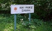 Tour Wandern Saint-Pierre-du-Perray - Boucle dans le Sud de la Forêt de Rougeau - Photo 1