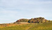 Tocht Te voet Barolo - Sentieri Langa Barolo - Photo 6