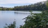 Trail Walking Waimes - Au fil des rives du Lac   - Photo 4