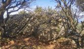 Trail Walking Brignoles - l'Amarron - Photo 20