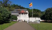 Randonnée Marche Kandy - Sri-06 Kandy - Les balcons du thé - Peradeniya - Photo 1