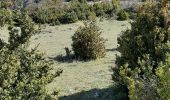 Trail Walking Rochebrune - les six cols depuis Rochebrune (26) - Photo 8