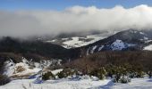 Percorso Racchette da neve Léoncel - Pierre chauve - Photo 1