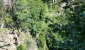 Tour Wandern Val-d'Aigoual - Cascade d'Orgon depuis Cap de Côte - vue Mont Aigoual - Photo 14