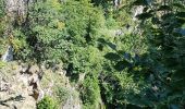 Randonnée Marche Val-d'Aigoual - Cascade d'Orgon depuis Cap de Côte - vue Mont Aigoual - Photo 14