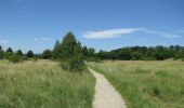 Randonnée A pied Fuldatal - Rund um die Hasenhecke - Photo 6