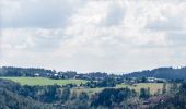 Percorso A piedi Steinach - Auf den Spuren des Schieferbergbaus - Photo 9