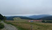 Tocht Stappen Sewen - Circuit lac d'alfeld / ballon d'Alsace  - Photo 4