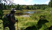 Tocht Stappen La Montagne - La Montagne Mille Etangs 7 juillet 2019  OVS - Photo 3