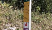 Percorso Marcia Autrans-Méaudre en Vercors - Autrans - Gève - Bec de l'Orient - La Buffe - Photo 14