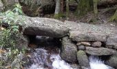 Tour Wandern La Bourboule - La Bourboule - Roche de Vendée- Rocher de l Aigle - Photo 8