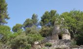 Trail Walking Manosque - 1Les speels, le relais, le pain de sucre. Depart Crématoriome. - Photo 5