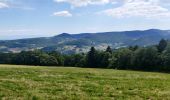 Trail Walking Lapoutroie - 2020-07-19 Marche Étang du Devin Col Calvaire Tête des Faux - Photo 5