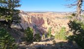 Tocht Stappen Unknown - 2024 Bryce Canyon Rim Trail - Photo 16