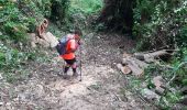 Excursión Senderismo Le Lorrain - La Crabiere Anse rivière Rouge - Photo 19