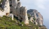 Tocht Stappen Cassis - les crêtes du cap Canaille, du pas de la colle à la  grotte des émigrés  - Photo 8