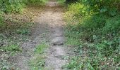 Tour Wandern Tréméven - Boucle de St Jacques à Tréméven,22 - Photo 9