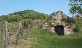 Excursión A pie Monoszló - Tűz Útja Tanösvény (PT) - Photo 3