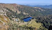 Randonnée Marche Le Bonhomme - Lac des truites - Gazon du Faing - Photo 1