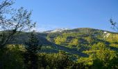 Trail On foot Menconico - Sentiero A1 di Monte Alpe - Photo 3