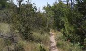 Randonnée Marche Aiguines - Sentier de l'imbut - Photo 1