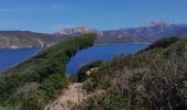 Randonnée Marche Cargèse - la Tour de cargese Corse - Photo 6