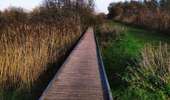 Trail Walking Geer - La promenade du Geer  - Photo 6