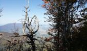 Tocht Stappen Apremont - col du Granier / pointe de la Gorgeat - Photo 9