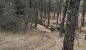 Trail Walking Escragnolles - hameau de Clars avec Toto - Photo 5