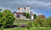 Tour Zu Fuß Möriken-Wildegg - Schloss Brunegg - Chestenberg - Schloss Wildegg - Photo 5