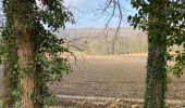 Percorso Marcia Braine-le-Château - Braine le château Lembeek 23 Km - Photo 19