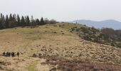 Trail Walking Portet-d'Aspet - Le Puech et cabane de Piejeau en boucle - Photo 1