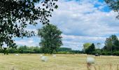 Tocht Stappen Diepenbeek - La vallée du Démer - La réserve naturelle Dorpsbemden à Diepenbeek - Photo 10