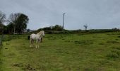 Excursión Senderismo Châtelet - Marche éphémères Ecureuil - Photo 13