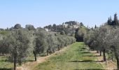 Trail Walking Saint-Rémy-de-Provence - CR_Domitia_BB_24_St-Remy-Provence_Orgon_20220405 - Photo 14