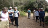 Trail Walking Neffiès - randonnée à Neffies - Photo 16