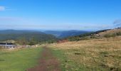 Trail Walking La Bresse - pied du Hohneck - le Kastelbeck - Photo 1