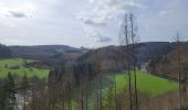 Trail Walking La Roche-en-Ardenne - rando samrée 19-03-2024 - Photo 9