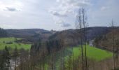 Tour Wandern La Roche-en-Ardenne - rando samrée 19-03-2024 - Photo 9